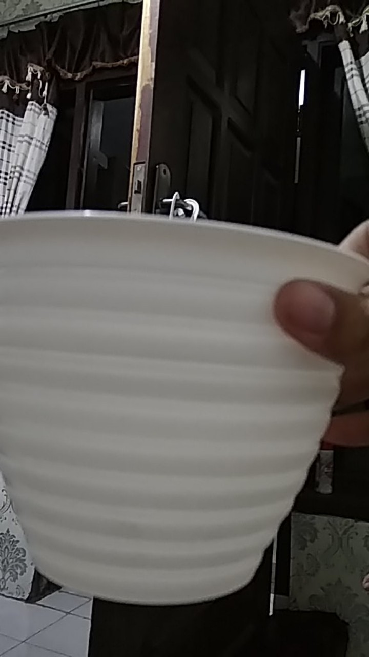 Pot Tawon /pot Nanas 17