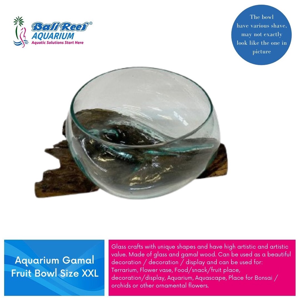 Vichpro Aquarium Gamal Aquarium Kaca Tiup Pendek