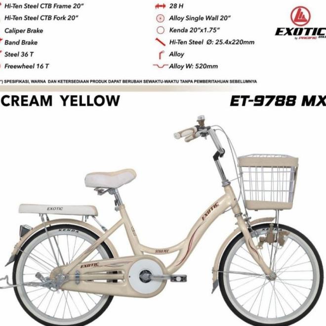 Sepeda Keranjang Exotic Ctb Et 9788 Mx 26 Inch