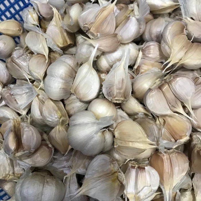 

Fe08774g Bawang Putih Kating Cutting 1 Kg F3E1F111