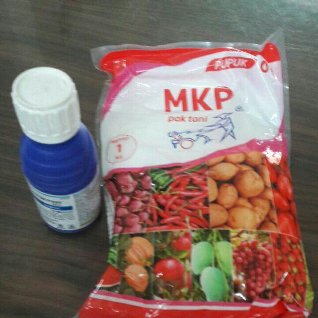 PUPUK MKP buAH DAN buNGA PAK  TANI  Pupuk MKP Mono Kalium 