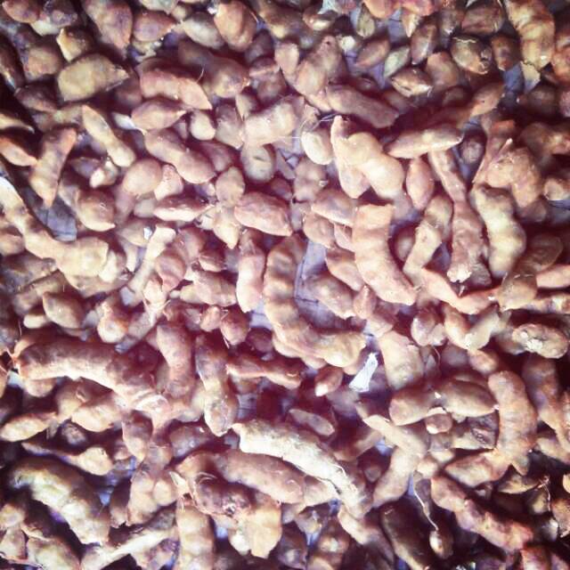

Asam jawa untk 1 kg