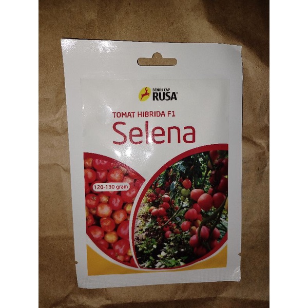 BENIH BIBIT TOMAT HIBRIDA SELENA10 GR