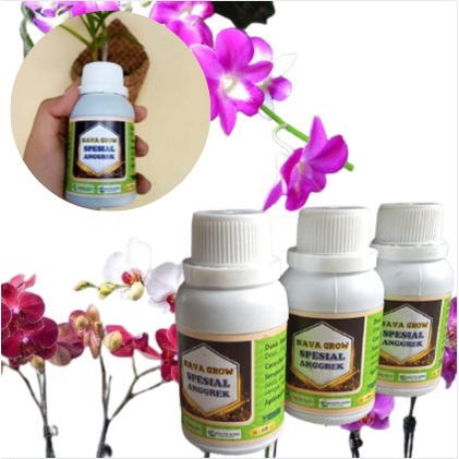 Nava grow pupuk anggrek bulan spesial pelebat bunga - pupuk untuk nutrisi bunga anggrek