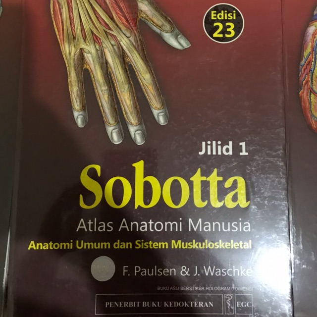 Sobotta Edisi 23