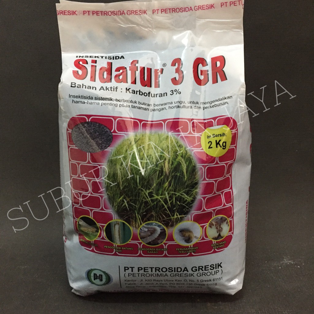 

Sidafur 3 gr insektisida