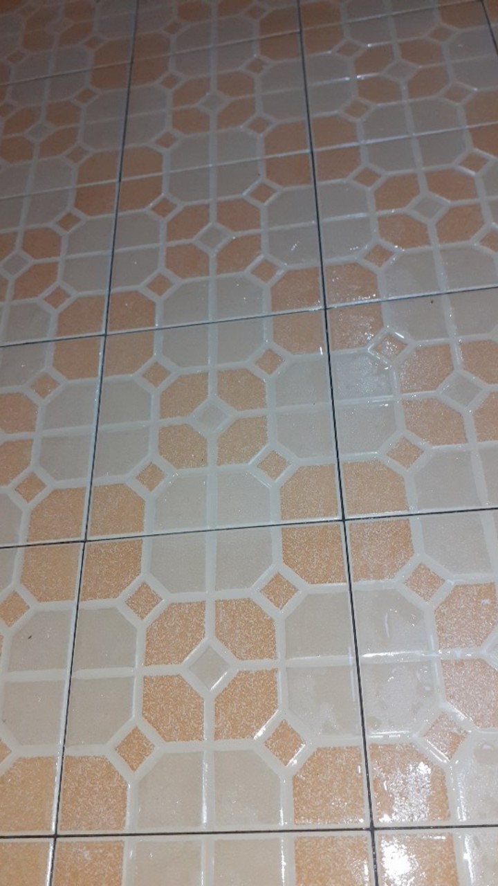 (cod) Pembersih Kerak Toilet & Keramik Lantai Kamar Mandi Membandel / Pembersih Noda Closet Menahun