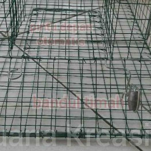 ♣ Perangkap / Jebakan Tikus JUMBO / MASSAL ❀