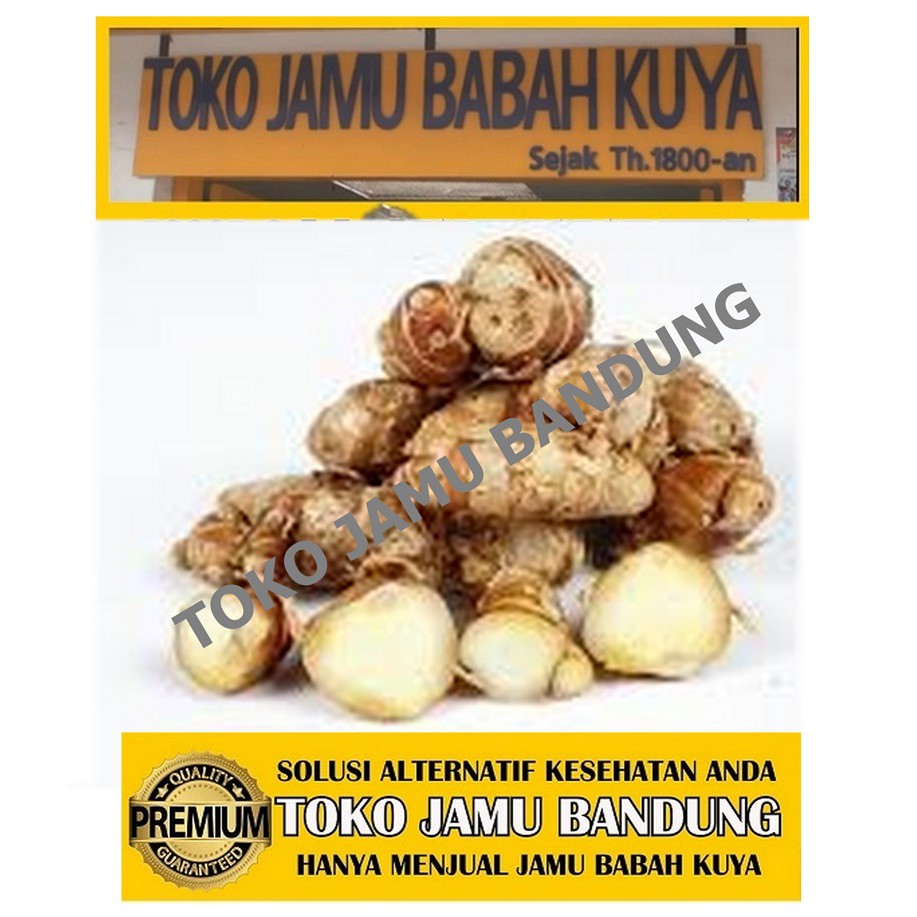 

Kencur Bubuk Jamu Babah Kuya Premium