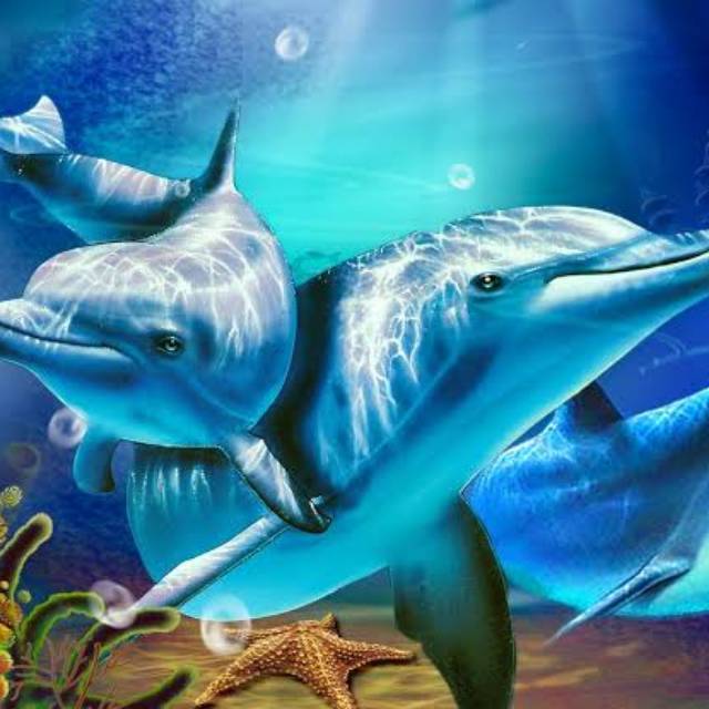 vinaaprilliaprasasti