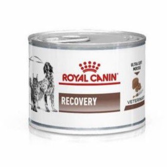 ROYAL CANIN recovery 195gram makanan kaleng RC recovery