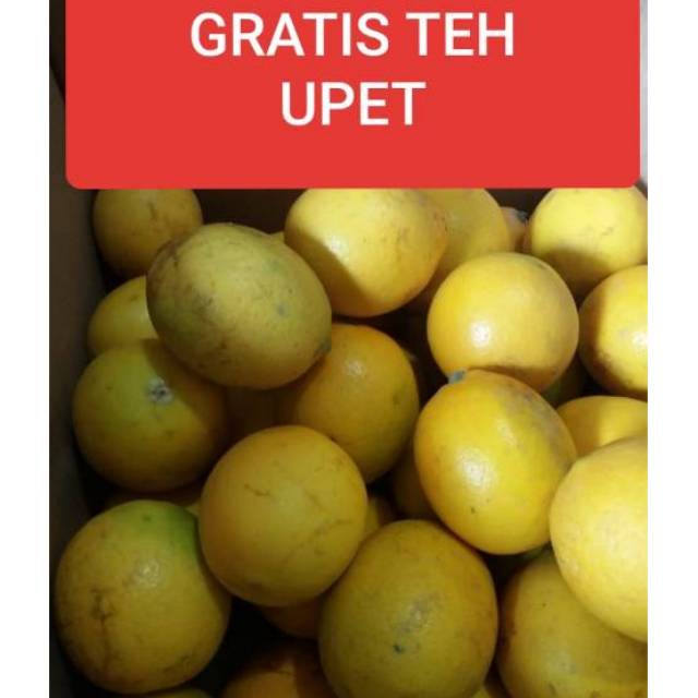JERUK LEMON/ BUAH JERUK LOKAL /JERUK LEMON SUPER 1Kg