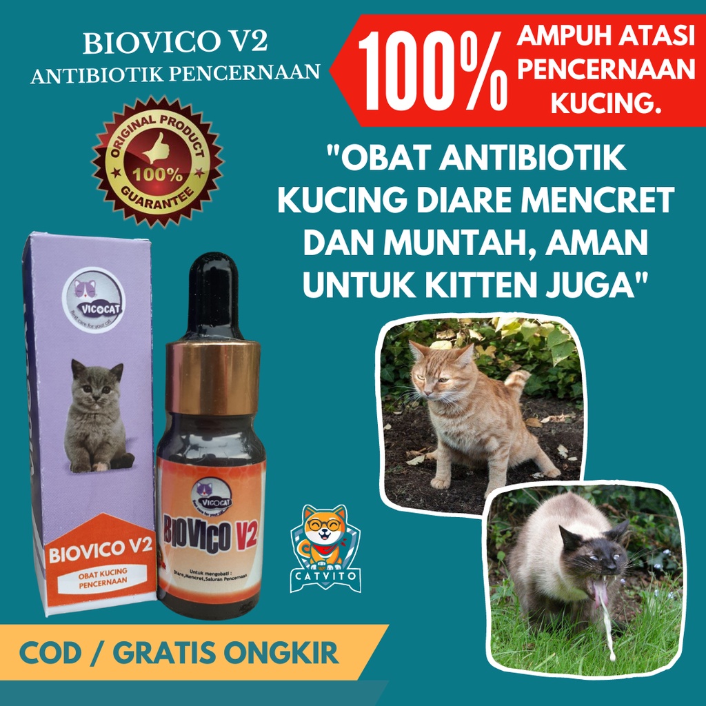 Obat Diare Mencret Kucing BIOVICO V2 Antibiotik Kitten Ampuh Atasi Muntah Pup Obat Cair BAB Masalah Pencernaan Kucing