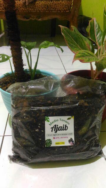 Media Tanam Ajaib Jefa Nursery Kwalitas Premium (1 Kg)