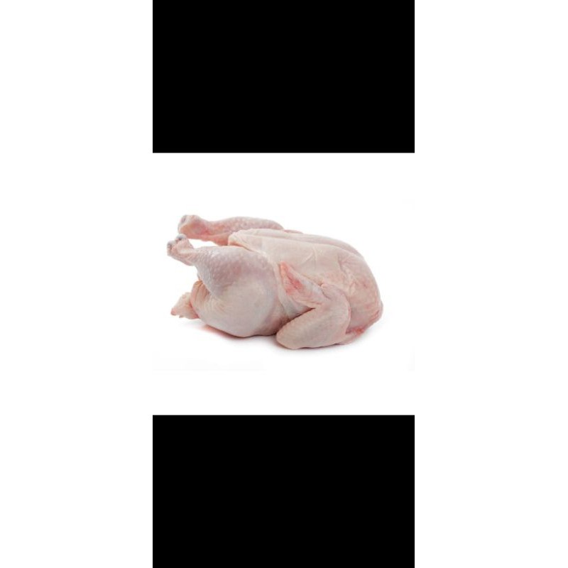 

Ayam karkas Ukuran 1,2