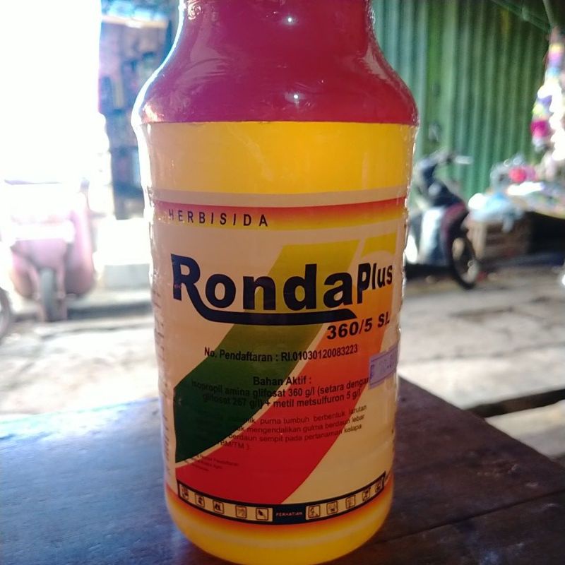 RondaPlus