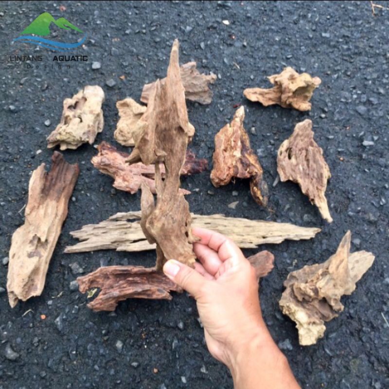 kayu rentek aquascape size s.