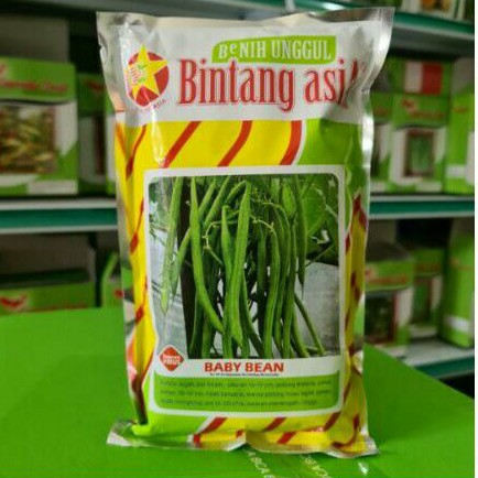 ISI 500GR BIBIT BENIH BUNCIS TEGAK UNGGUL / biji buncis tegak / buncis / benih sayuran /bibit buncis