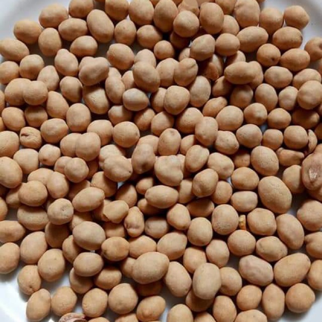 

Kacang Atom