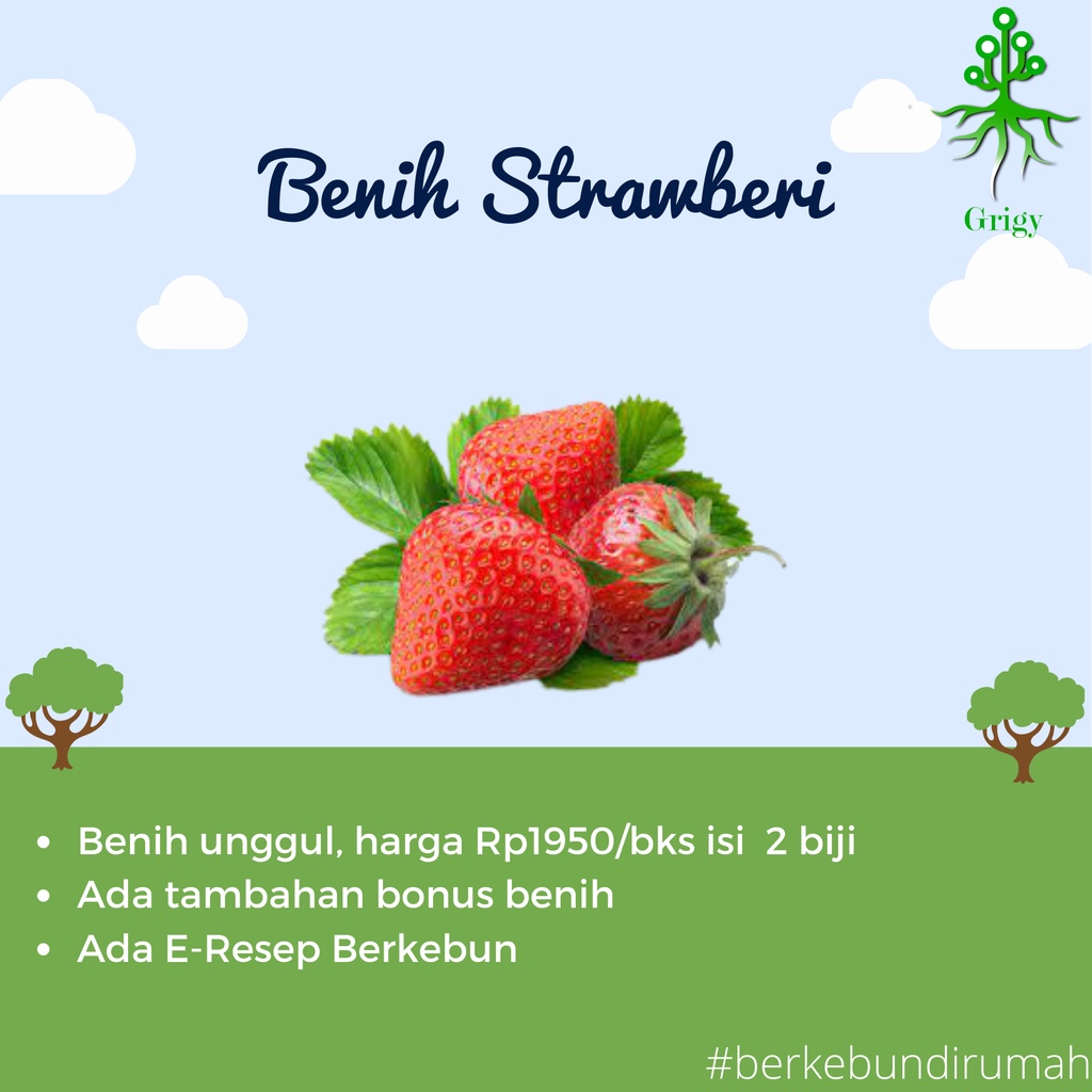 BENIH STRAWBERRY , BIJI STRAWBERRY