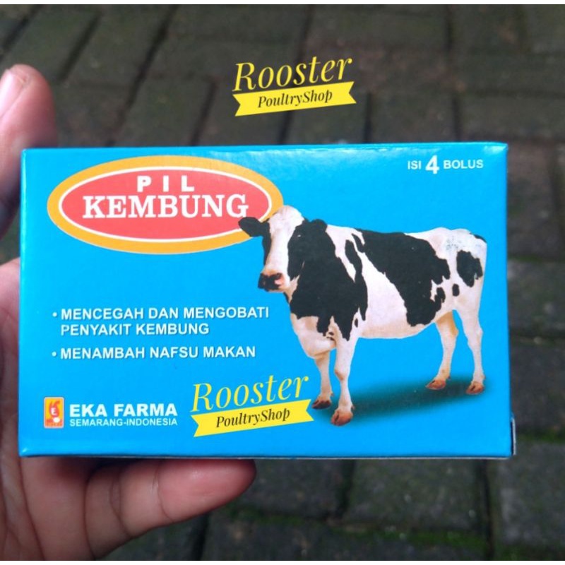 Pil Kembung Obat Mengobati Sapi Kambing Kerbau Kambing Domba isi 4 Bolus PiL Kembung
