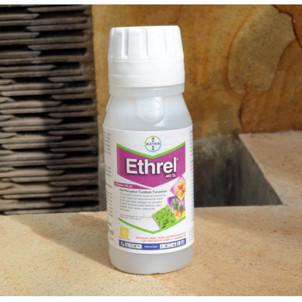 ZPT Ethrel 480SL 100ml Untuk Pemasakan Buah