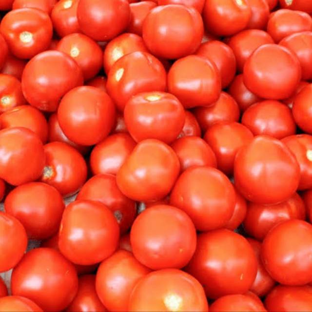 

Tomat Merah Paling Murah 250 gr