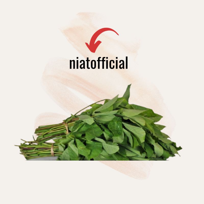 

Daun Singkong 2 ikat