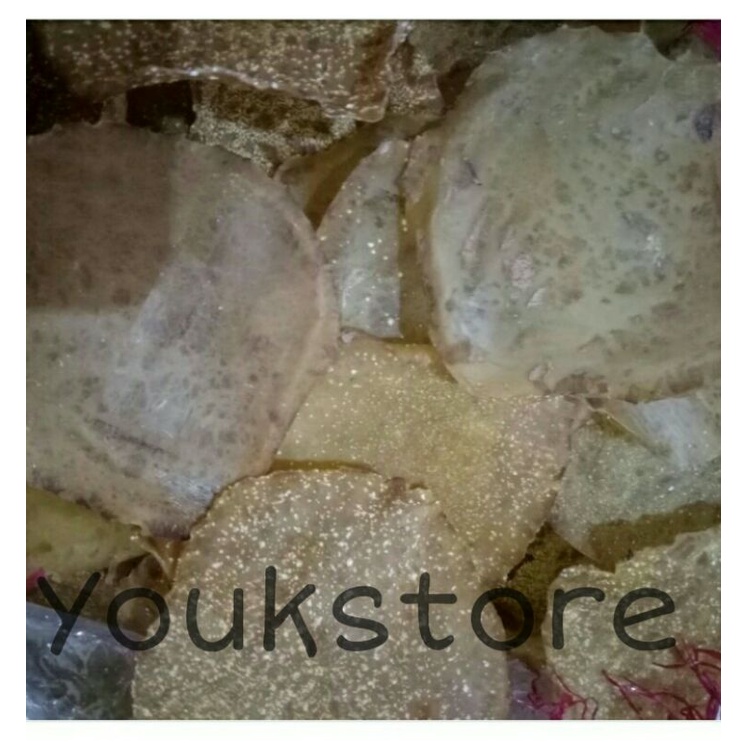 

Emping jengkol asli khas Bogor 500gr