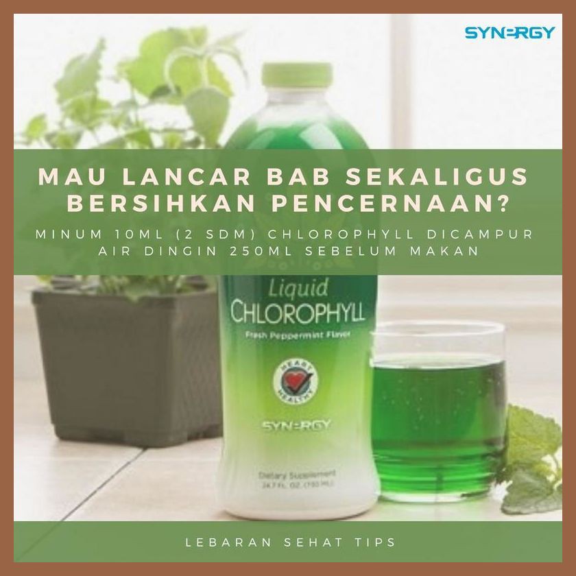 RAMUAN HERBAL MENINGKATKAN OKSIGEN DARAH Terbaik