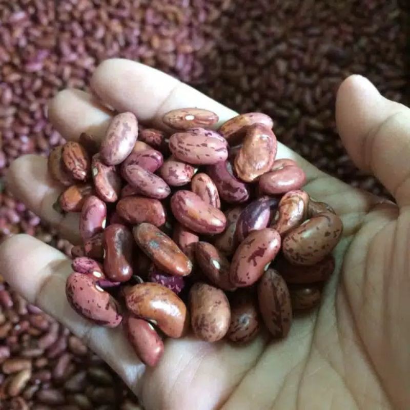 

Kacang Merah 250 gram