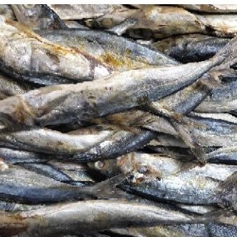 

ikan asin klotok 200-210 gram