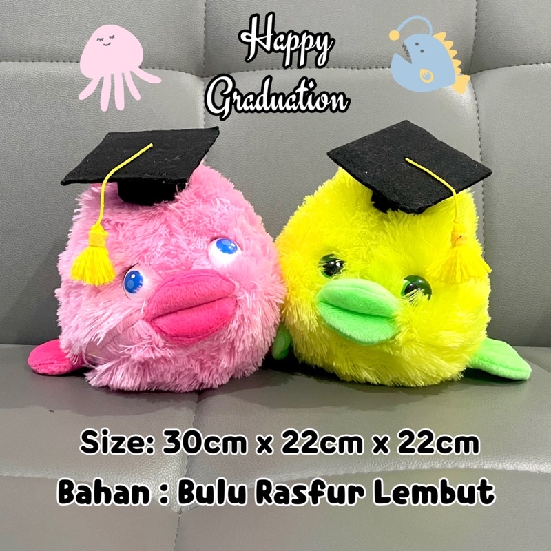 boneka wisuda ikan boneka graduation graduated boneka hadiah kelulusan ikan high quality