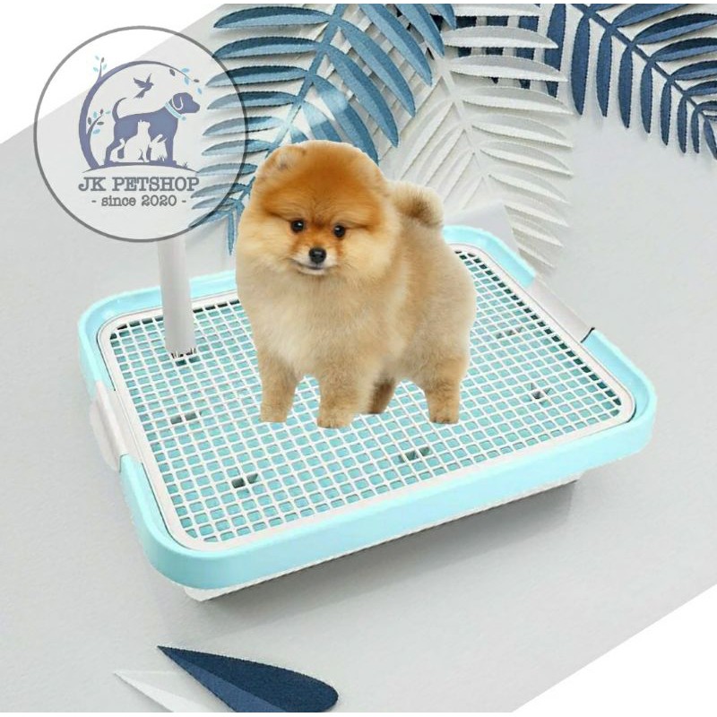 PET TOILET TRAY ANJING / TOILET HEWAN ANJING / TEMPAT PEE PUP ANJING / PEE PAD ANJING