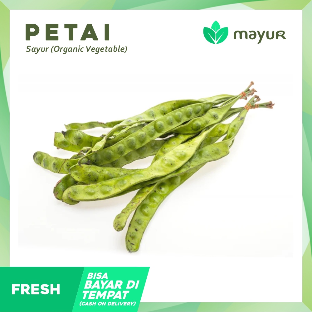 

Petai / Pete Segar