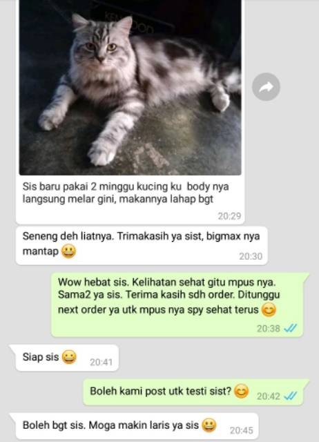 VITAMIN KUCING NAFSU MAKAN KURUS OBAT GEMUK KUCING PENGGEMUK SEHAT VITAMIN ANTIBODY VITAMIN BULU KUCING ANTI JAMUR PENUMBUH BULU KUCING