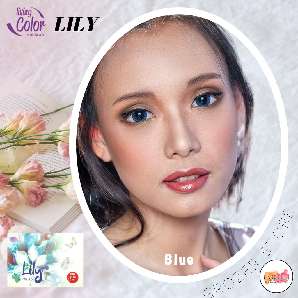 SOFTLENS LILY MINUS 3.25 SD 6.00