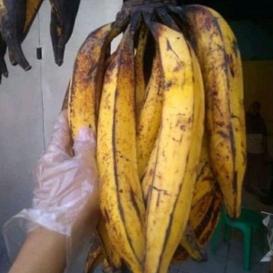 

pisang tanduk super 1 pcs