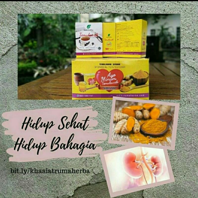 

temulawak serbuk rumaherba