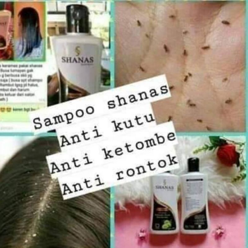 COD free ongkir Shampo kutu rambut - shampo shanas - sampo kutu rambut - sampo sanas