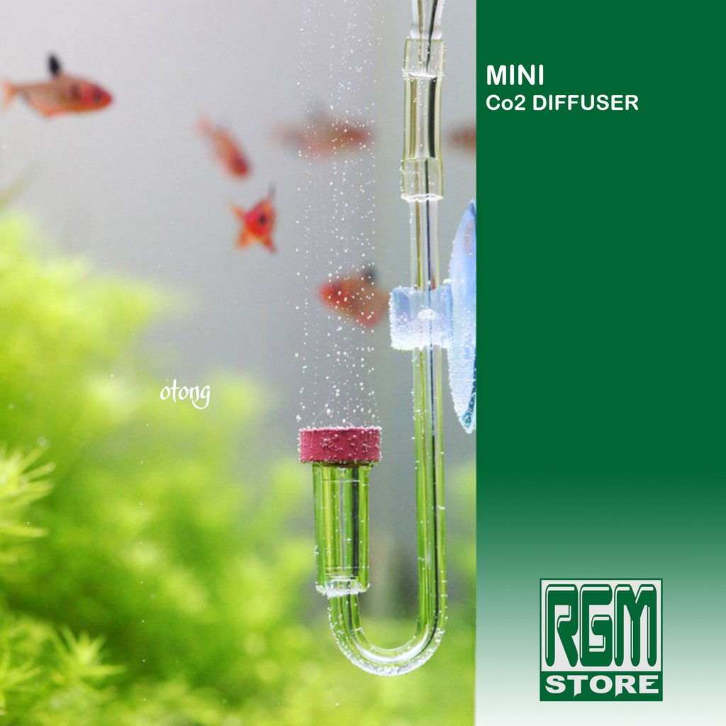 Mini Co2 diffuser difuser glass aquascape aquarium