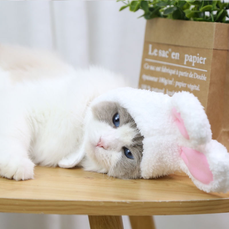 Topi Telinga Kelinci Ukuran 25-35cm Untuk Kucing Peliharaan