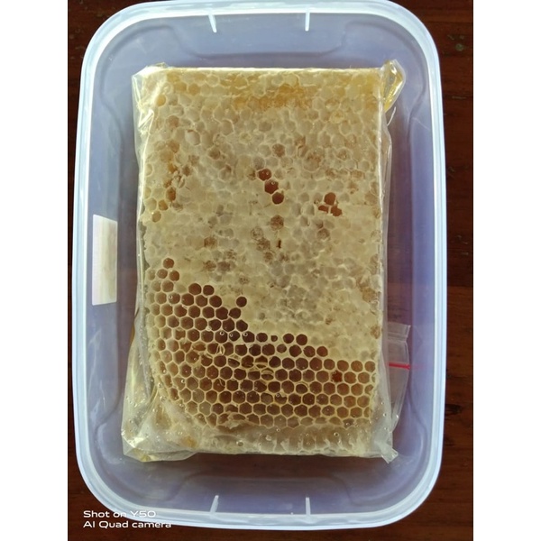

Madu sarang asli / katir lebah madu