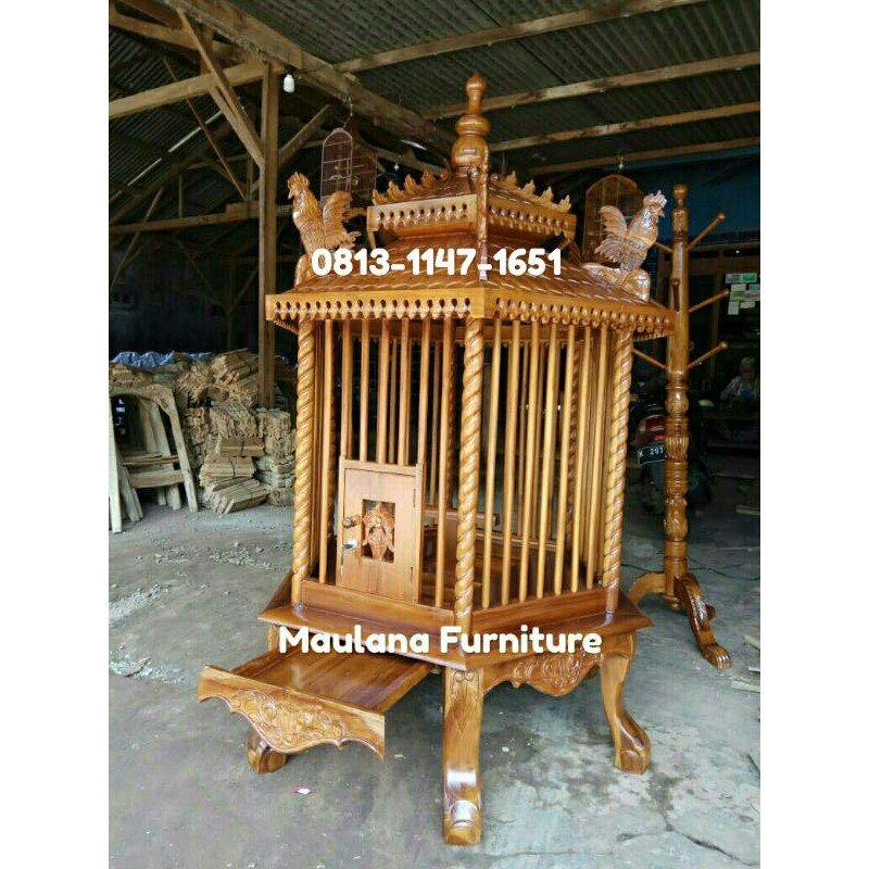 kandang ayam jati sangkar burung,bangkok,pelung,bekisar Maulana