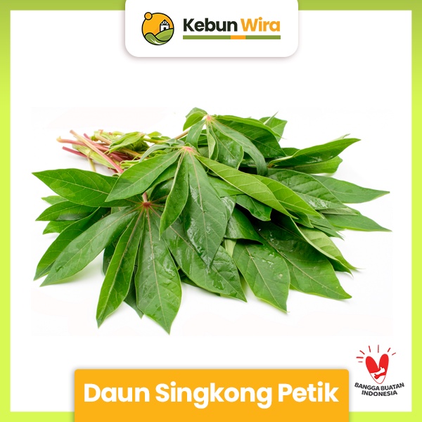 

Daun Singkong Petik | Casava Leaves 100gr