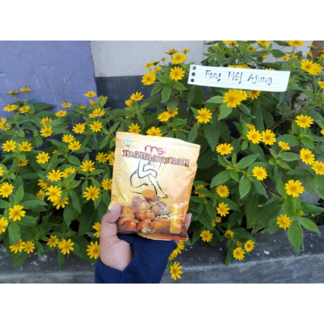 1 Paket Manjavikan MSI 100% ORI (1 paket isi 8 sachet)