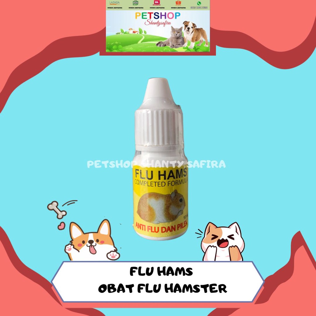 FLU HAMS OBAT FLU PADA HAMSTER