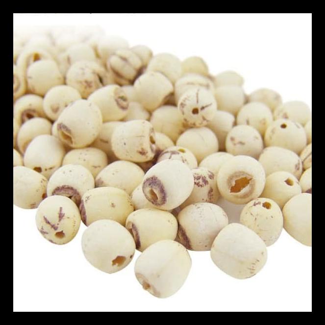 

BIJI TERATAI / LOTUS SEED / LIEN ZI 100 GR BERKUALITAS