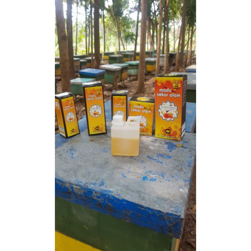 

PROMO 500 gram Madu Murni Asli Melifera (Raw Honey)