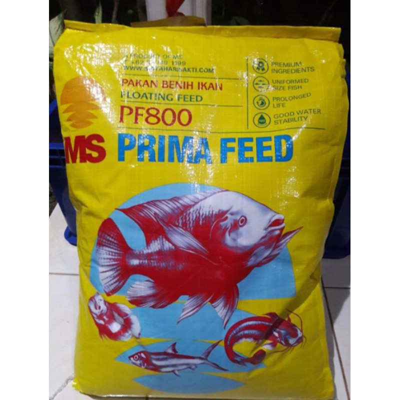 Pakan Benih Ikan Bibit Lele Gurame Nila MS Prima Feed PF-800 Repack 500gr